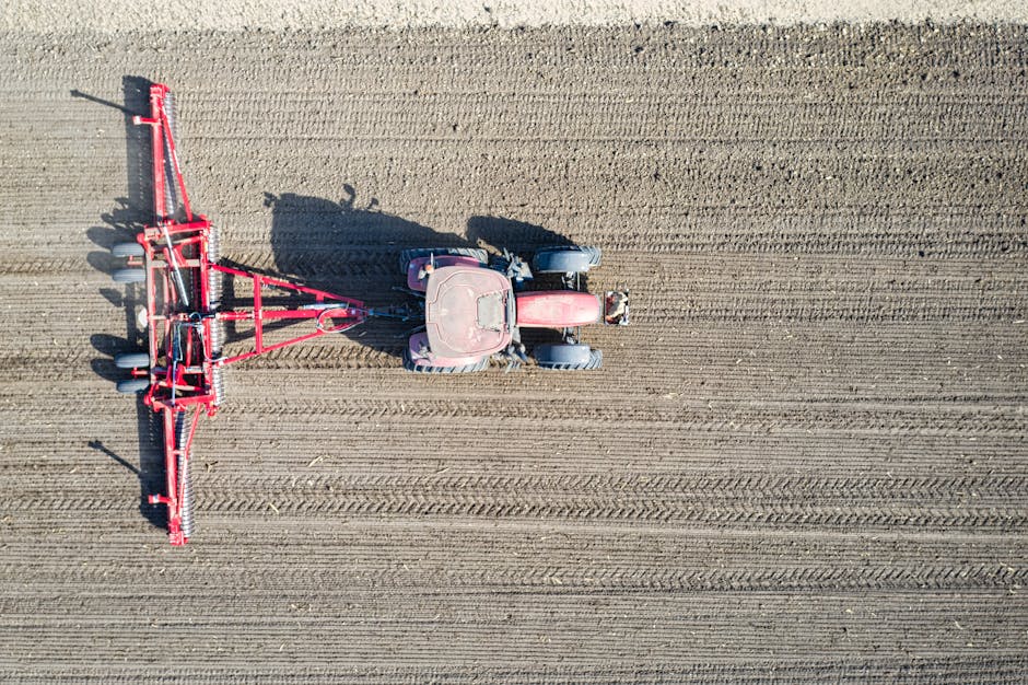 Aardappels Planten in je Moestuin: De Ultieme Gids voor Succes