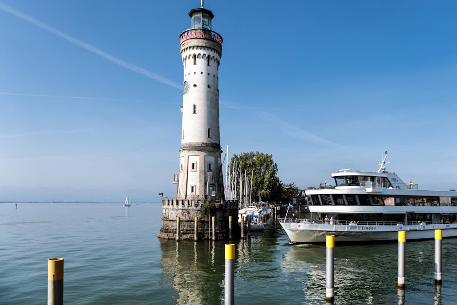 Wat Te Planten in Augustus: Start Jouw Herfst- en Wintermoestuin