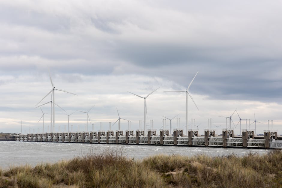 12 Redenen Waarom Tuinieren De Planeet Helpt: Start Jouw Duurzame Moestuin