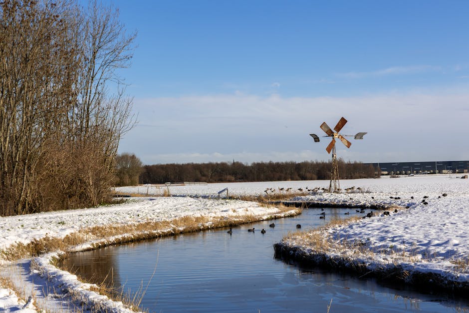7 Manieren om Effectief Grenzen te Stellen in Elke Relatie