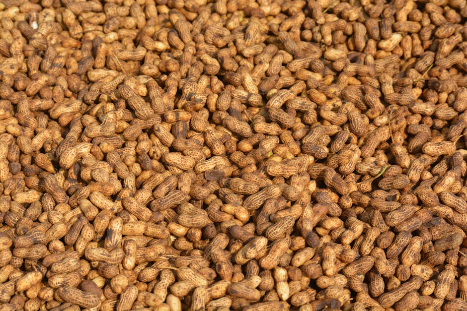 De Eiwitcombinatie Mythe Ontkracht: Jouw Gids voor Plantaardige Eiwitten