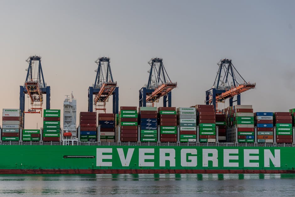 De Wereld van Zeevervoer: Van Gigantische Schepen tot Supply Chain Uitdagingen