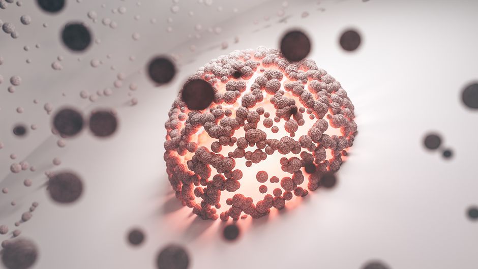 Biocomputers: Draaiende op Menselijke Hersencellen – De Toekomst van AI?